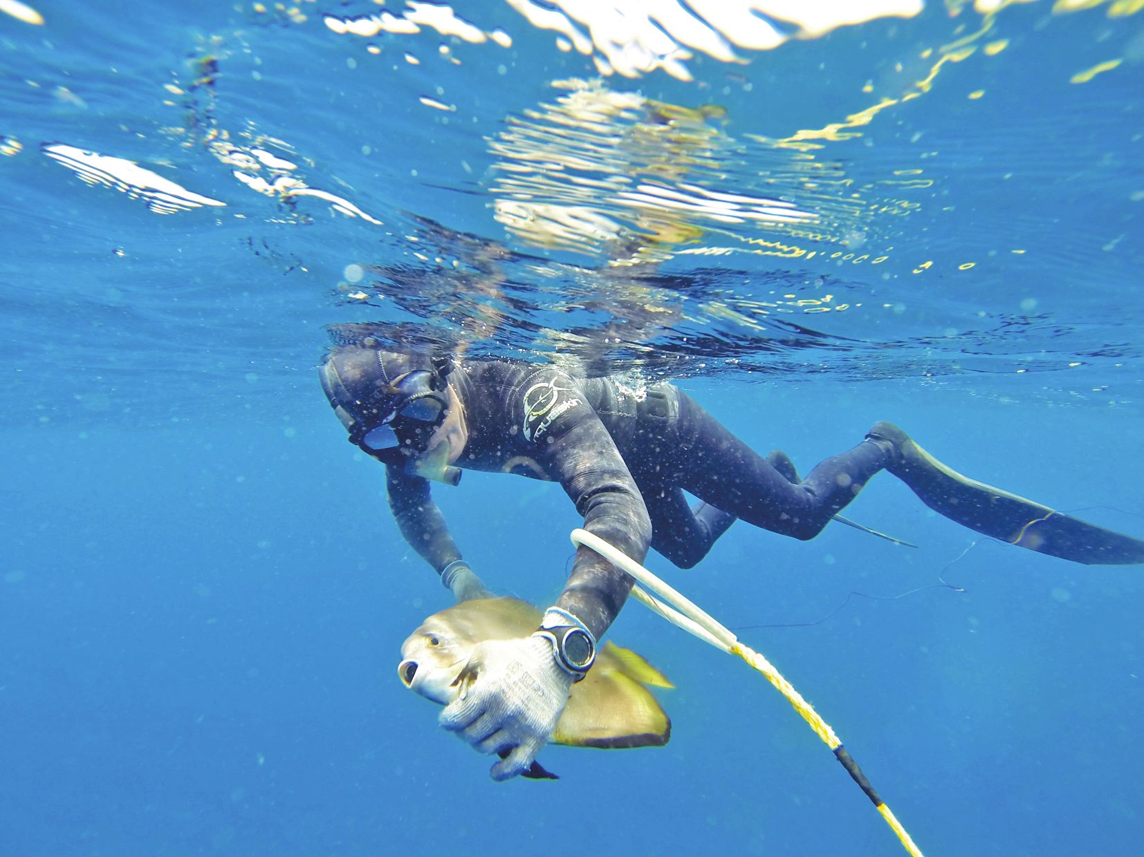 Sur cette photo, Wilgrial Mouzin vient de pêcher un platax. Il sera le seul, parmi tous les concurrents présents samedi dernier lors de la compétition, à en attraper un.