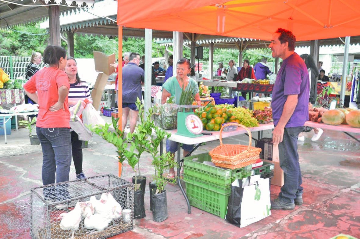 Au stand d’Isabelle de la SCA Paddock de la Iuanga, les curieux avaient le choix entre poulettes,  produits maraîchers  de saison, plants d’arbres fruitiers, salades  et pastèques…