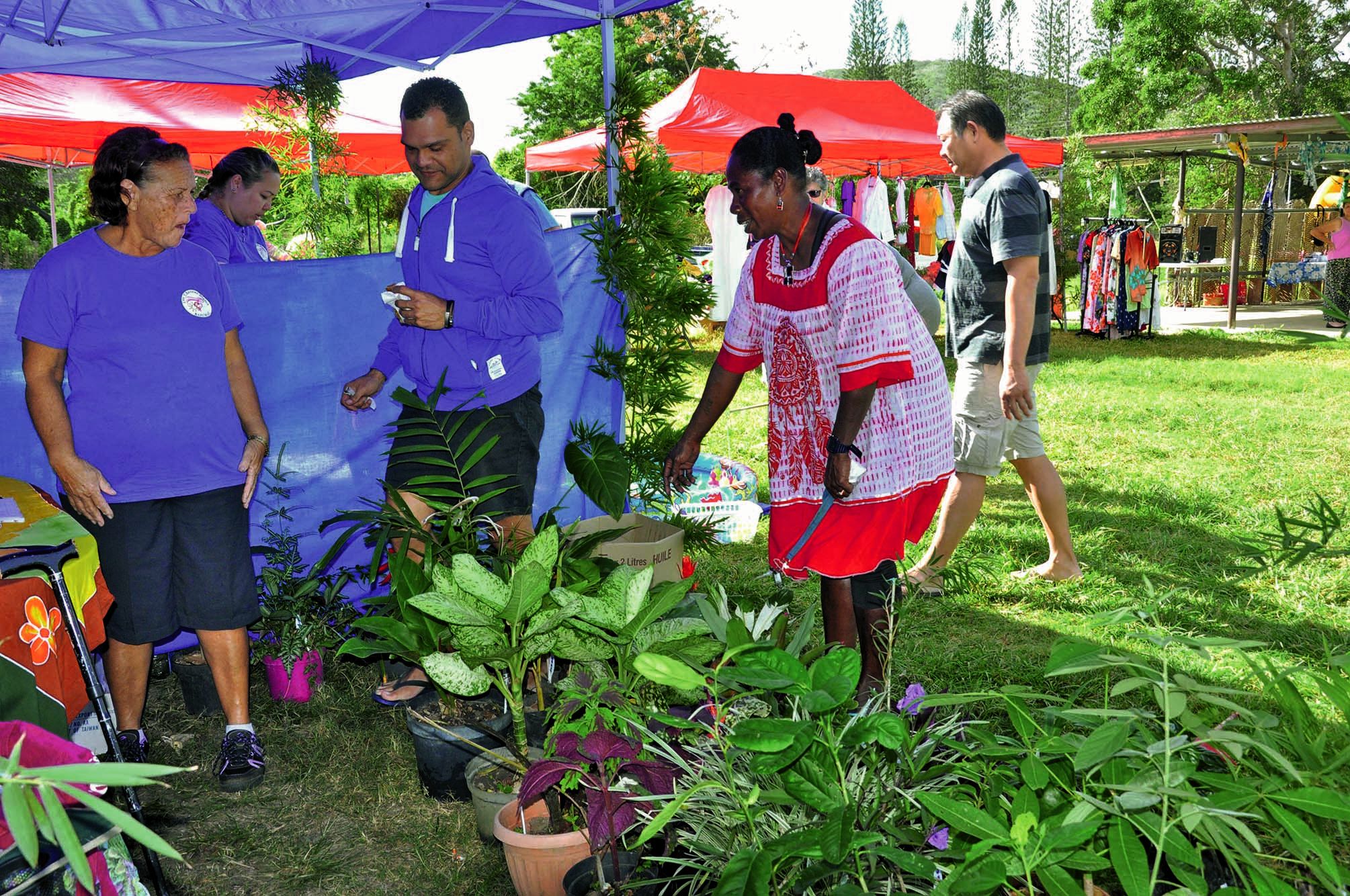 Maryse proposait de nombreuses plantes et arbres fruitiers : caféiers Leroy offerts par l’Ecomusée de Voh, citronniers, goyaviers, pommiers kanak, etc., ainsi que des plantes à fleurs.