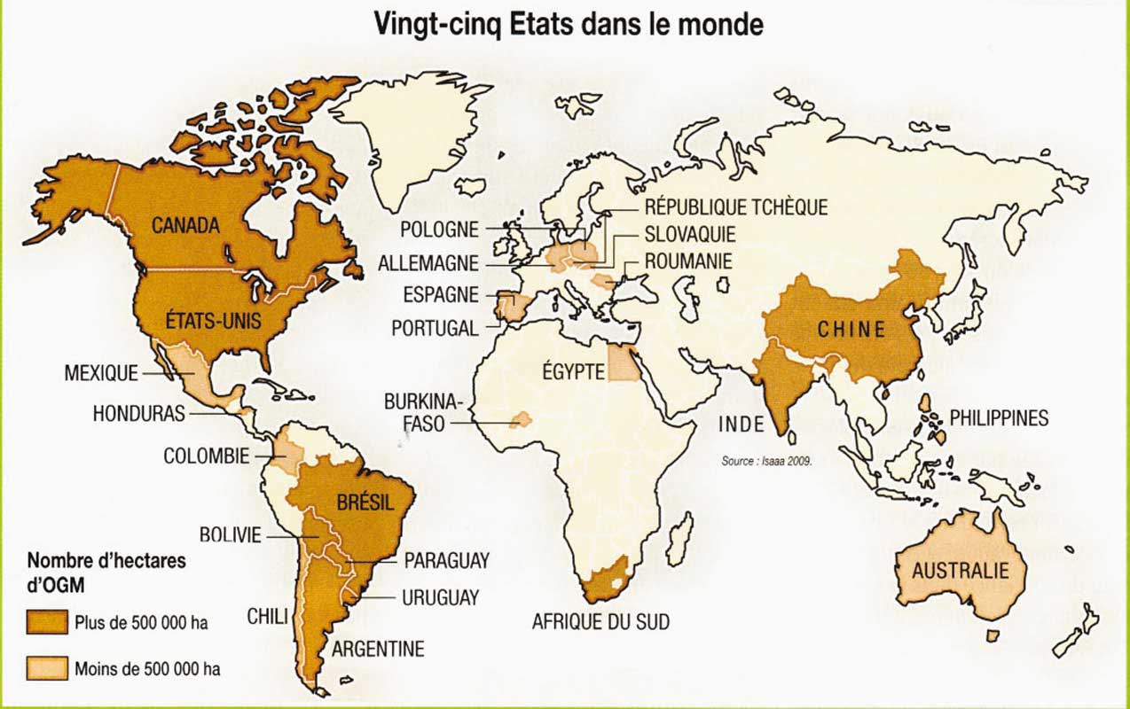 Dans de nombreux pays, c'est l'alimentation animale qui pose le plus de problèmes sur les OGM.