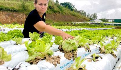 [VIDÉO] Intempéries et assurances : le coup de gueule d'une agricultrice de Bourail