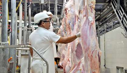 Le prix de la viande va augmenter de 8 %