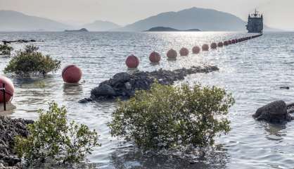 Câble sous-marin : deux décisions de justice en faveur de l’OPT