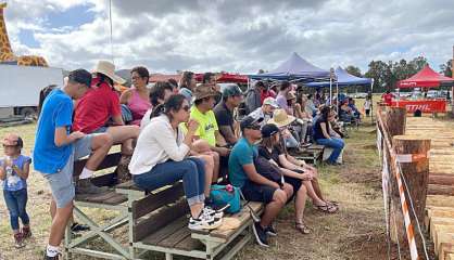 [En images] La Foire de Bourail bat son plein