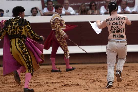 Interdire la corrida? Les députés planchent sur un sujet polémique