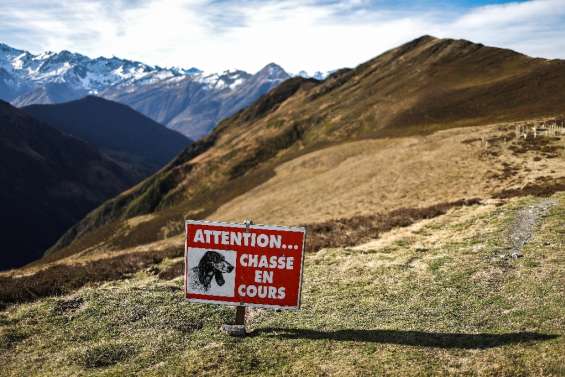 Le gouvernement écarte finalement l'idée d'une journée sans chasse 