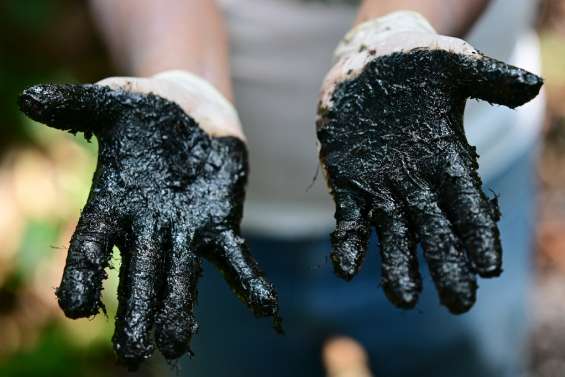 En Amazonie, la souillure de l'or noir