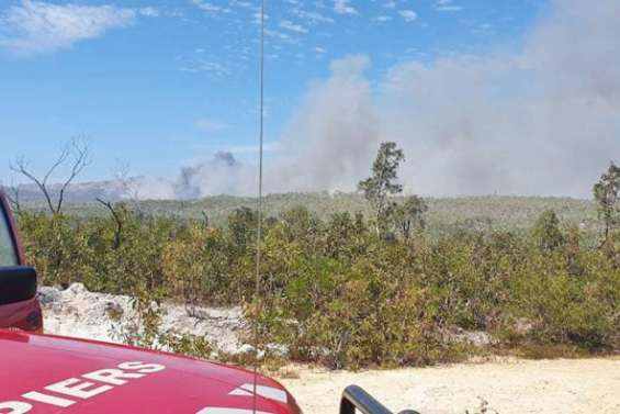 Un incendie détruit 200 hectares de végétation à Poum