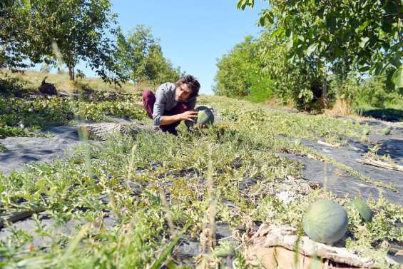 L'agriculture bio, en congrès mondial, affiche ses ambitions