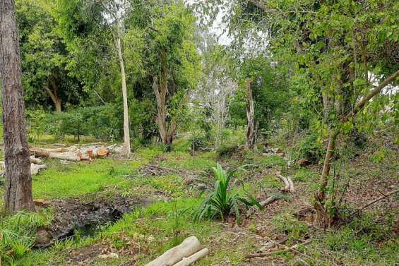 Le Conseil de l'eau a nettoyé le creek Fo-Moin