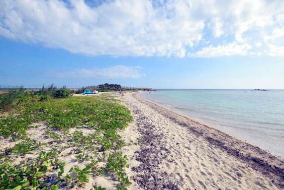 La plage du Méridien est à nouveau accessible