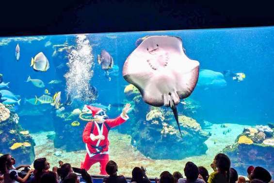 Le père Noël sera à l'Aquarium le 21 décembre