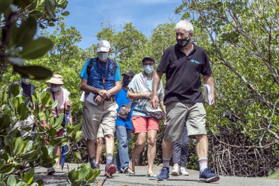 À la découverte de la mangrove de Ouémo en compagnie de Bernard Suprin