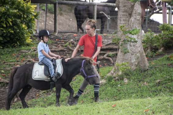 Tous à cheval : les clubs ouvrent leurs portes ce week-end