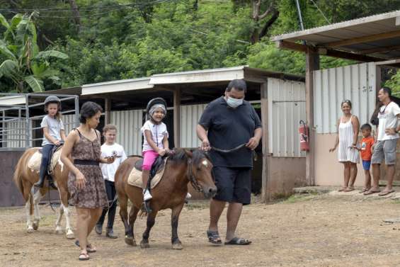 Tous à cheval : les clubs équestres ouvrent leurs portes ce week-end