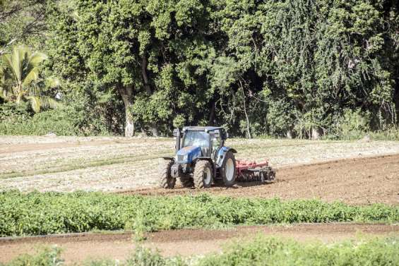 [GROS PLAN : 2/3] La Nouvelle-Calédonie n'est pas à l'abri d'une flambée des prix