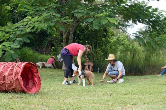 Au club canin de Dumbéa, des chiens et des maîtres bien dans leurs 