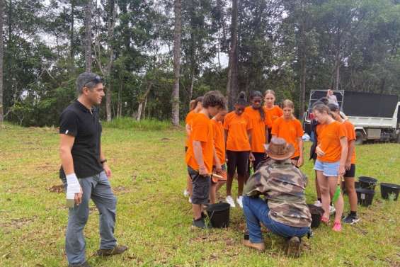 Les collégiens s'intéressent aux forêts d'ici, en espagnol