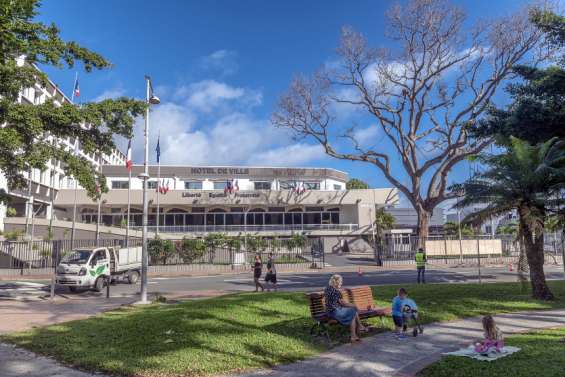 Nouméa : le bois centenaire du caïlcédrat de la mairie sera sculpté