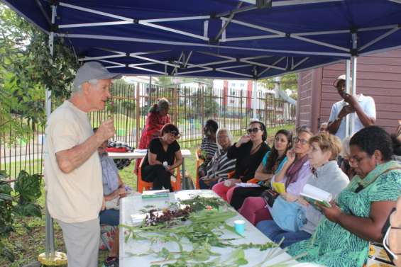 Deux heures pour s'initier aux vertus thérapeutiques des herbes de nos jardins