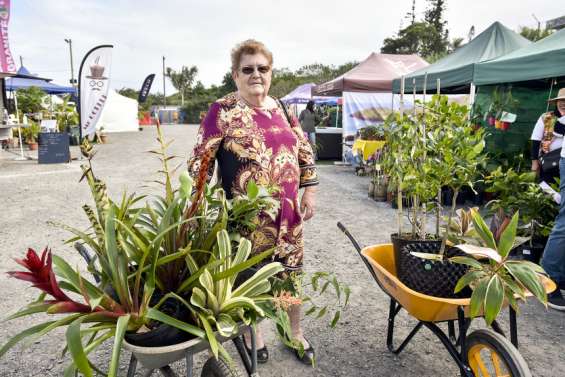 Loisirs : le salon du jardinage continue à Nouville