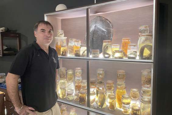 Le cabinet de curiosités du professeur Moriartus ouvre samedi à l'Aquarium