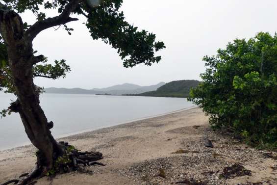 Dumbéa : la ville lance la construction d'une base nautique et de loisirs à Nouré