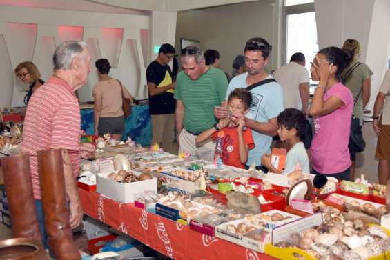 Nouméa : le Salon des collectionneurs prépare sa 22e édition