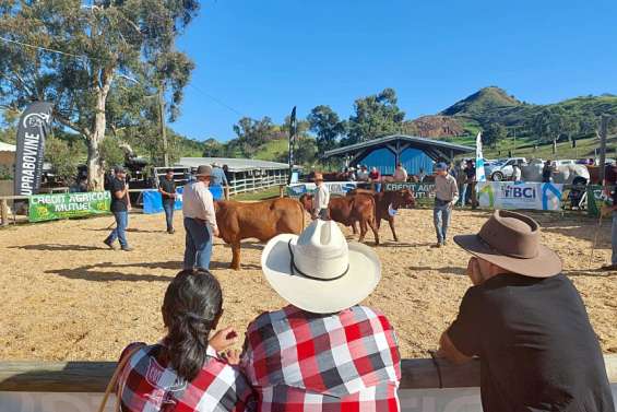 La Foire de Bourail est lancée