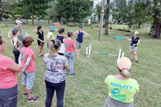 Dumbéa : concours, agility, fitness... le club canin de retour dans la course