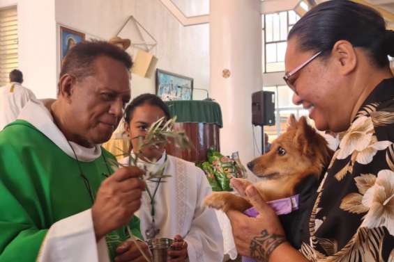 La messe honorant les animaux fait le plein