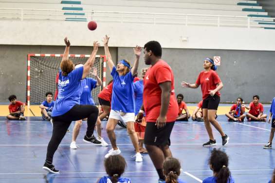 En fauteuil ou adapté, le handball se pratique 