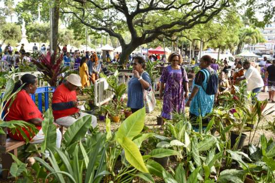 Tahiti et le cocotier mis à l'honneur du Jeudi du centre-ville