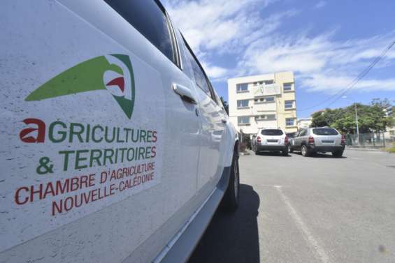 Les résultats du CAP agricole