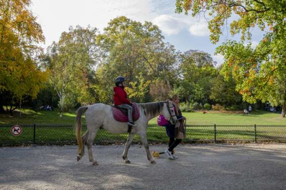 Les balades à poneys en sursis à Paris