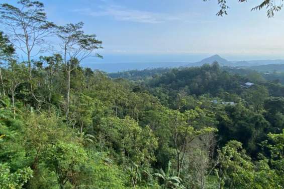 Indonésie : un adolescent français disparu lors d’une randonnée à Bali