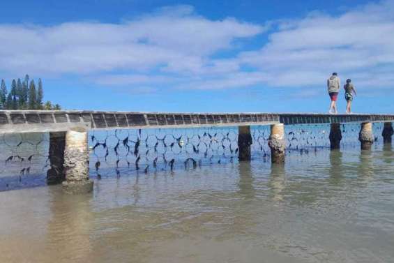 Barrière anti-requins : la zone de baignade sécurisée de la plage du Château Royal ouvre vendredi