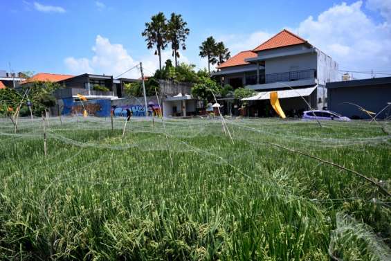 Les Balinais, exaspérés par le surtourisme, espèrent une pause des constructions