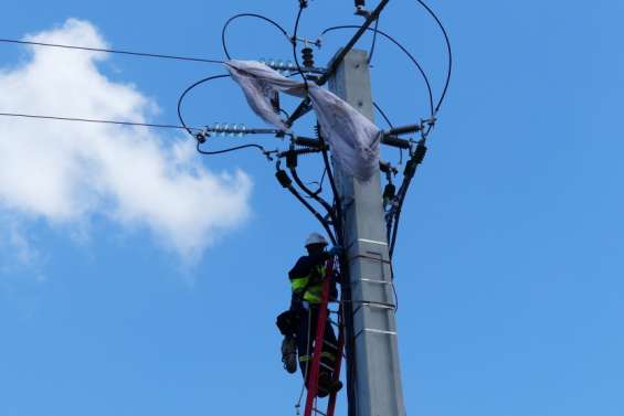 En octobre, les prix ont bondi de 0,7 % à cause des tarifs de l’électricité