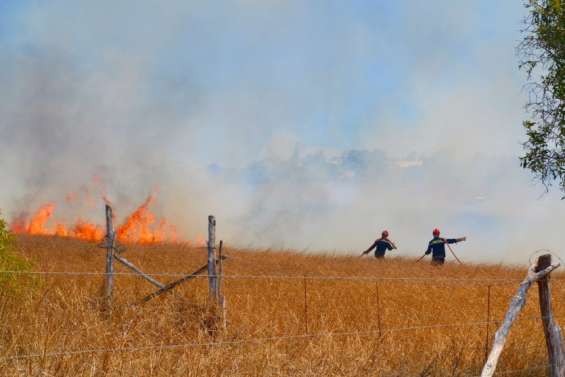 Encore 25 hectares partis en fumée à Tontouta ce week-end