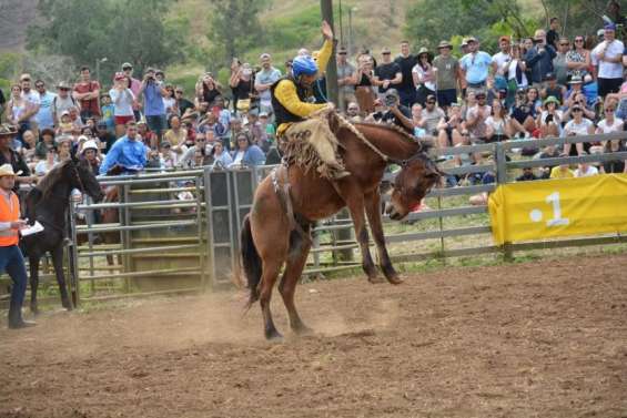 Un Royal Caledonian Show pour célébrer la Brousse, des marchés pour célébrer Noël… Quelques idées de sorties ce samedi 7 et dimanche 8 décembre