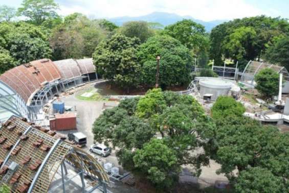 Polynésie : dans le jardin botanique de Papeari, l’espace Gauguin prend forme à un an de l’inauguration