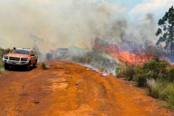 Après douze jours de lutte, le feu de Prony enfin maîtrisé