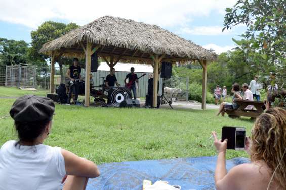 Balade musicale au parc forestier jusqu'à 17 heures