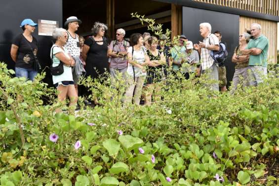 Grand Nouméa : les activités à faire ce week-end