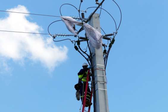 Encore 5 800 foyers sans électricité, deux jours après le cyclone Niran