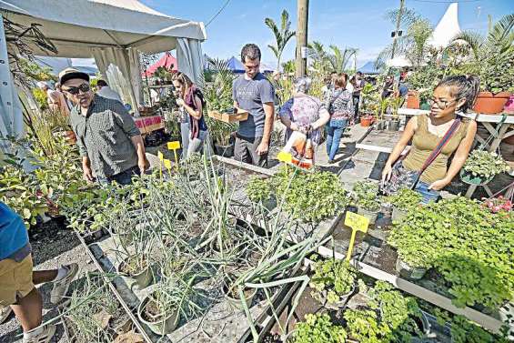 Le Salon du jardinage et de la motoculture ouvre ses portes