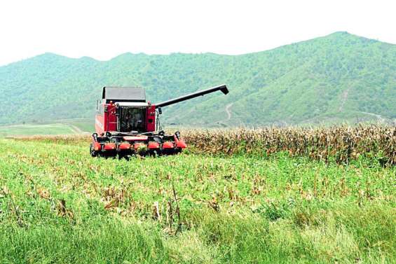 [GROS PLAN] Les OGM bientôt plus strictement encadrés ?