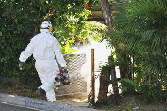 Etat des lieux du chikungunya en Nouvelle-Calédonie [vidéo]