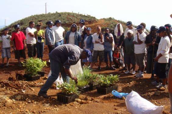 Trois cents planteurs au secours du maquis minier